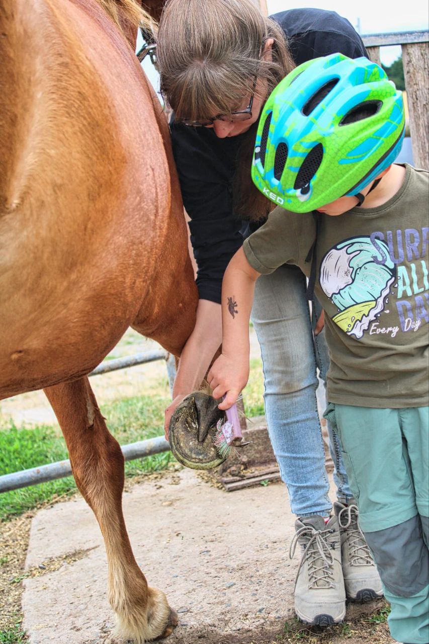 Hufpflege mit Kind
